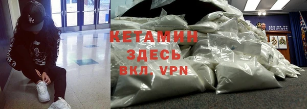 тгк Дмитровск
