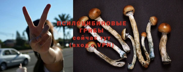 гидропоника Дмитров