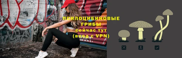 гидропоника Дмитров