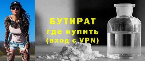 шишки Ельня