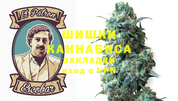 шишки Ельня
