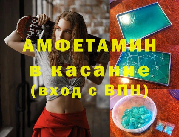 шишки Ельня