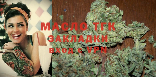 тгк Дмитровск