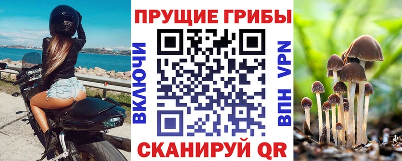 Купить где  Среднеколымск  Псилоцибиновые грибы Psilocybe 